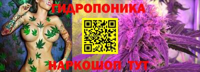 гашик Заволжье