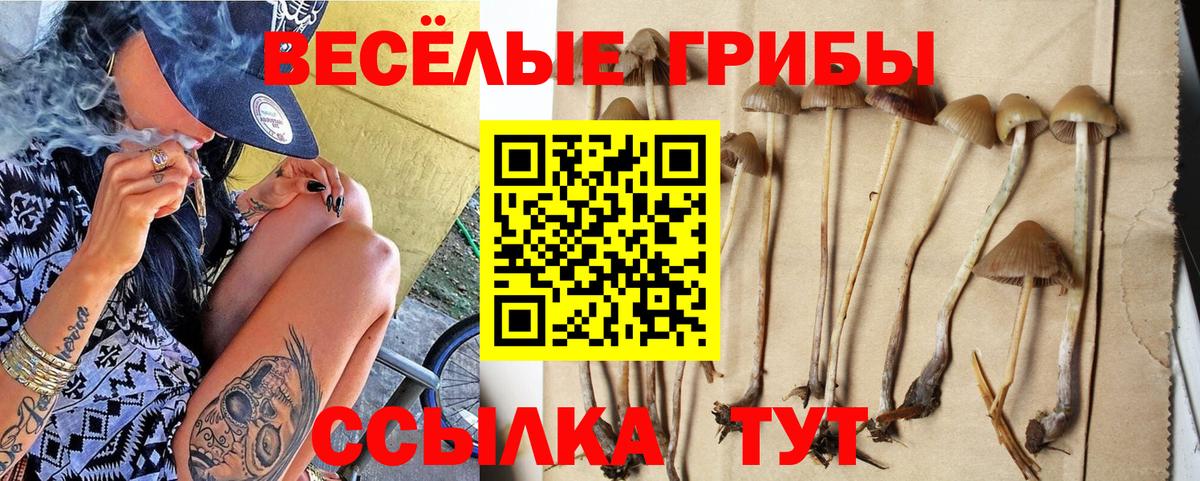 Псилоцибиновые грибы Cubensis  Вход с VPN  Менделеевск  Псилоцибиновые грибы GOLDEN TEACHER 