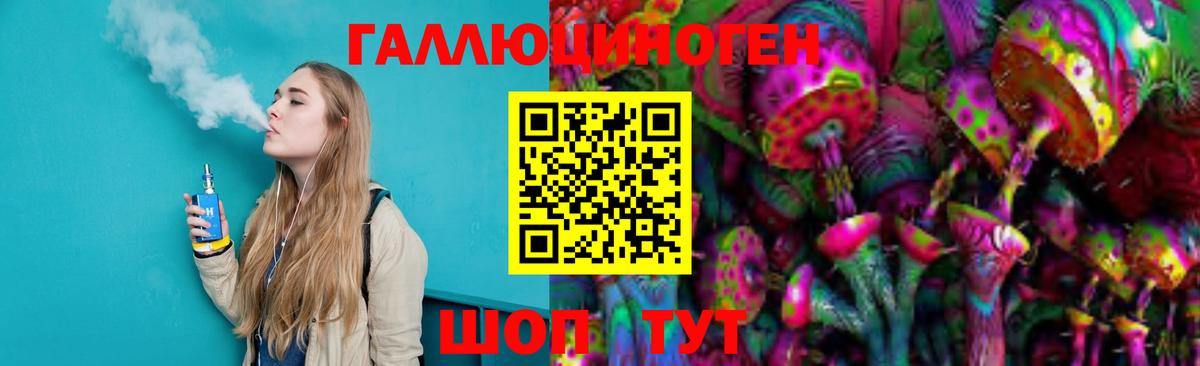 Псилоцибиновые грибы Psilocybe Менделеевск